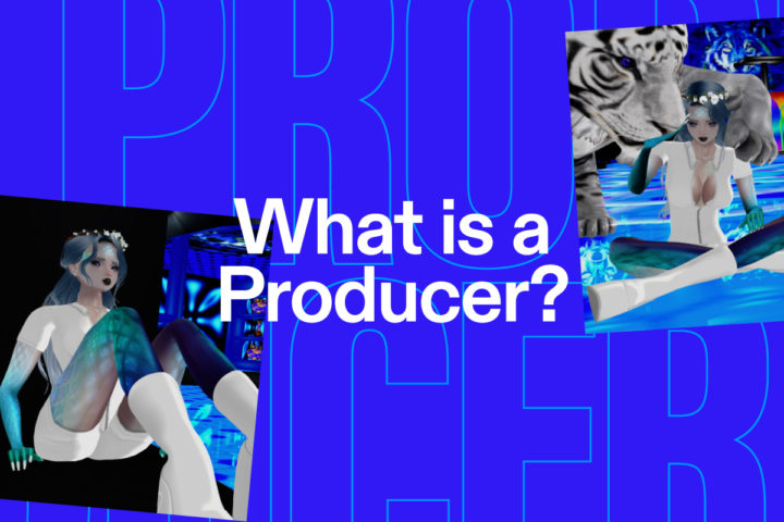 What is a Producer?