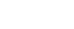 Cointelligence_wht